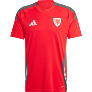 Wales Football Shirt